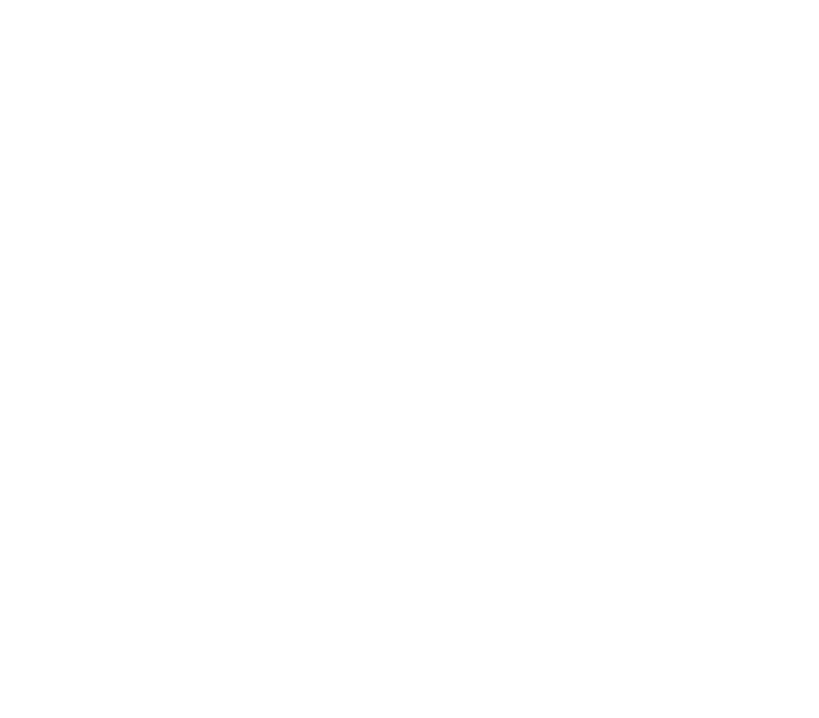 Logo Nathan Kaltermann